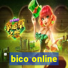 bico online